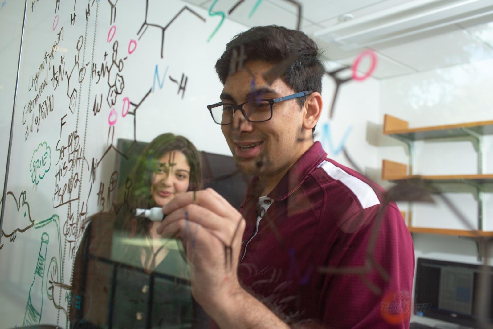 Photo of two students in a peer tutoring session