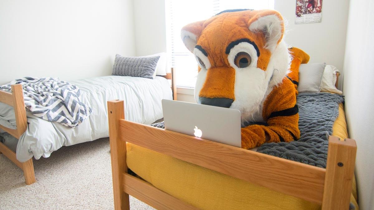 Leeroy the Mascot 研究ing on a dorm room bed.